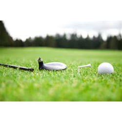 No Bogeys Golf by null