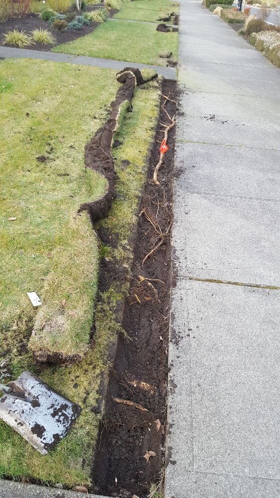 Slide of Douglas Irrigation