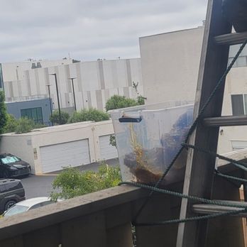 Bee Removal - Honey combs removed from the wall - Pest Control Near Me