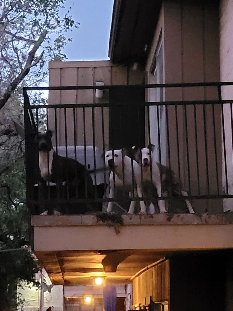 SPANISH OAKS APARTMENTS 12 Photos & 10 Reviews 3206 Cripple Creek St, San Antonio, Texas