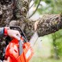 Abita Tree Service