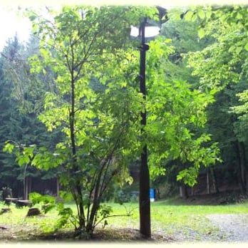 Camping Klingenthal - Campgrounds Near Me - Klingenthal, SN