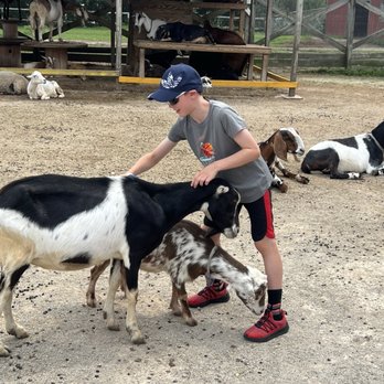 Lambs Farm - Amusement Parks Near Me - Libertyville, Illinois Lambs Farm - Amusement Parks Near Me - Libertyville, Illinois