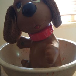 The Salvation Army Family Store & Donation Center - Dog in bowl