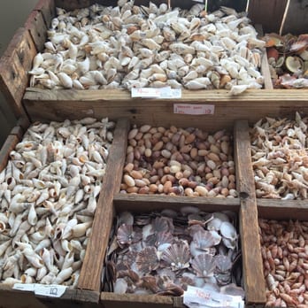 Daniels Shells - Beautiful choices. Shop local! - Hobby Shops Near Me - P C Beach, Florida