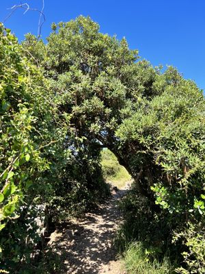 San Telmo Ermita by null