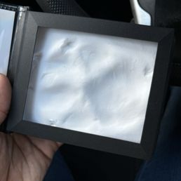 Paw print Paw print