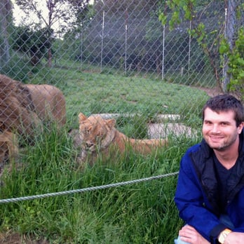 Carolina Tiger Rescue - Steve A. just hanging out with lions. - Animal Shelters Near Me - Pittsboro, North Carolina Carolina Tiger Rescue - Steve A. just hanging out with lions. - Animal Shelters Near Me - Pittsboro, North Carolina