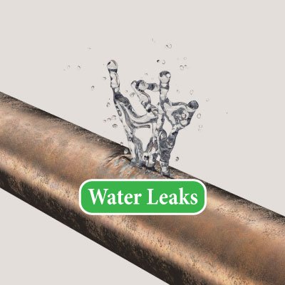 Slide of Aardvark Rooter