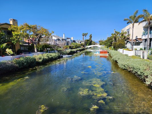 Venice Canals by null