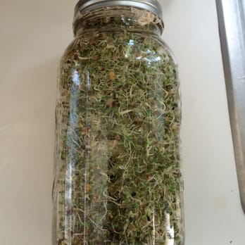 Mikegrogreens - Brassica sprout mix - Fruits & Veggies Near Me - San Diego, California