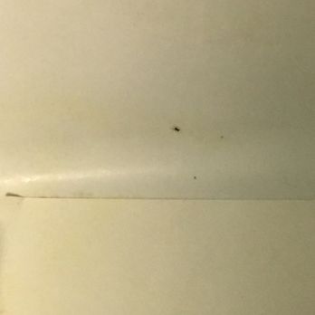 A Victory Inn & Suites - Yes that's a bug in the dirty tub - Hotels Near Me - Ann Arbor, Michigan