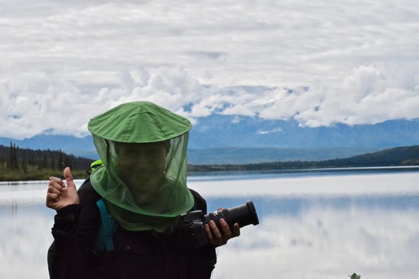 Denali Backcountry Lodge by null