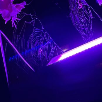 LH Rooftop - Spiders - Cocktail Bars Near Me - Chicago, Illinois