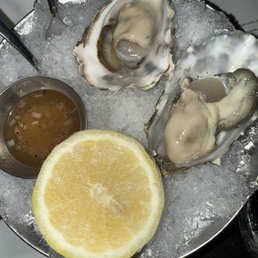 Daily Oysters*