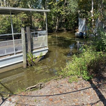 Jean Lafitte Swamp Tour - Boat Tours Near Me - Marrero, Louisiana
