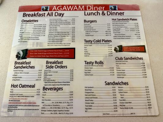 Agawam Diner by null