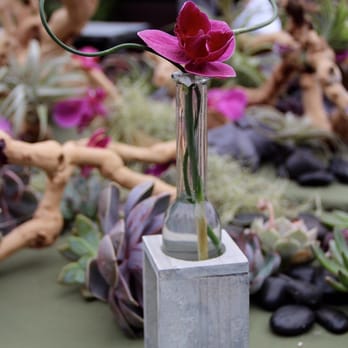 La Bonne Cuisine Catering & Events - Caterers Near Me - Berkeley, California
