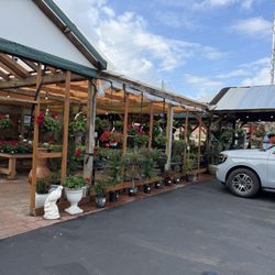 Green Thumb Nursery