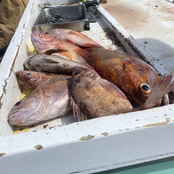 The New Sea Angler - They clean your fish too - Boating Near Me - Bodega Bay, California