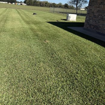 Acadia Lawn Care - More stripes - Lawn Services Near Me - Rayne, Louisiana Acadia Lawn Care - More stripes - Lawn Services Near Me - Rayne, Louisiana
