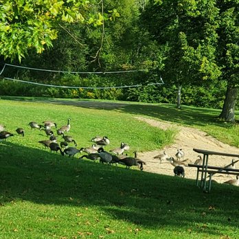 Pymatuning State Park - Small beach & birds like to visit. - Parks Near Me - Andover, Ohio Pymatuning State Park - Small beach & birds like to visit. - Parks Near Me - Andover, Ohio