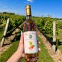 Photo of Tomasello Winery