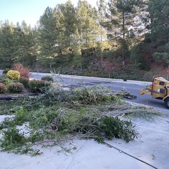 Tree Trimming 4 Less - Stacked ready for the shredder. Cleaned front yard of all debris. - Tree Services Near Me