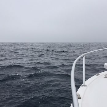 East Meets West  - Boat Charters Near Me - Newport Beach, California