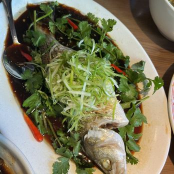 Wenwen - Fish - Taiwanese Near Me - Brooklyn, New York Wenwen - Fish - Taiwanese Near Me - Brooklyn, New York