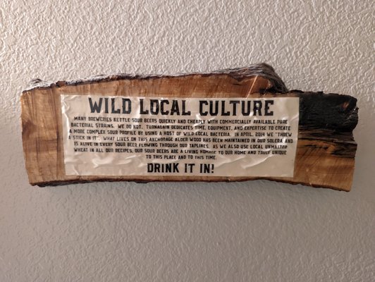 Turnagain Brewing by null