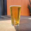 Sing Sing Kill Brewery gift card