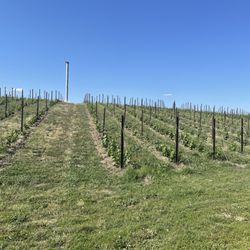 Gifford Hirlinger Winery