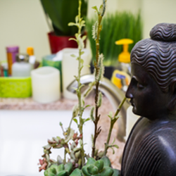 Advanced Natural Health Center