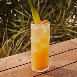 Order one of our signature cocktails.