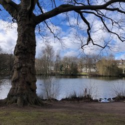 Volkspark Kaiserslautern