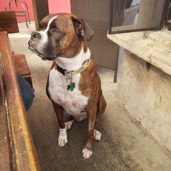 The Station - My dog's loving, memorable visit. Love the staff! - Salad Near Me - Raleigh, North Carolina The Station - My dog's loving, memorable visit. Love the staff! - Salad Near Me - Raleigh, North Carolina