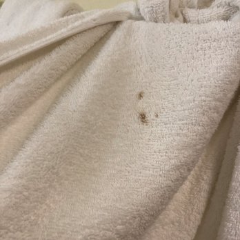Marina Tower Waikiki - Dirty towels. - Hotels Near Me - Honolulu, Hawaii Marina Tower Waikiki - Dirty towels. - Hotels Near Me - Honolulu, Hawaii