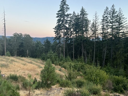 Under Canvas Columbia River Gorge by null