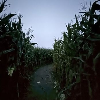 Borchard Farms - Yeah, it's a bit spooky. - Pumpkin Patches Near Me - Salinas, California