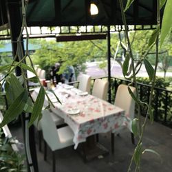 Ayder'em Yeşil Bahçe