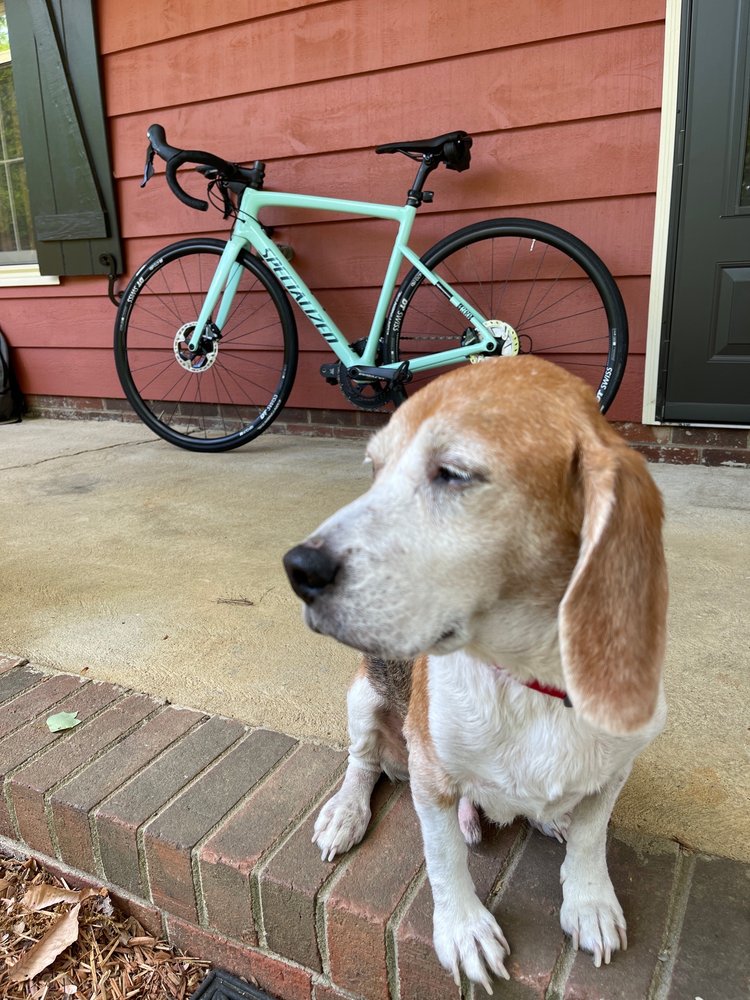 RECYCLES Updated September 2024 28 Photos & 29 Reviews 908A Spring Garden St, Greensboro