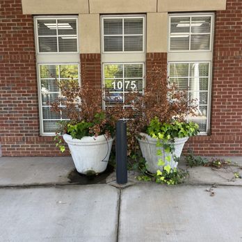 Cardiac Associates - Needs some TLC! - Cardiologists Near Me - Spartanburg, South Carolina Cardiac Associates - Needs some TLC! - Cardiologists Near Me - Spartanburg, South Carolina