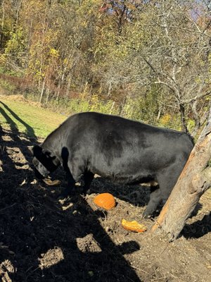 DuBois Farms by null