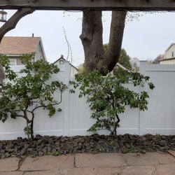 King Bull Home Improvement Services - Customized fence for huge tree!