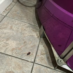 L.A. Tan - Terrible customer service, also very pushy on sales. Also the salon was filthy, there was a dead roach right next to my bed!!
