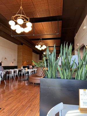 The Hive Social by null