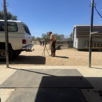 Deets Equine Service - Dakota in action - Farriers Near Me