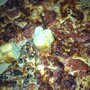 Photo of Pizza Inn
