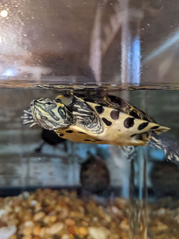 BEDFORD GREENHOUSES Updated September 2024 67 Photos & 23 Reviews 1023 Oleander Dr